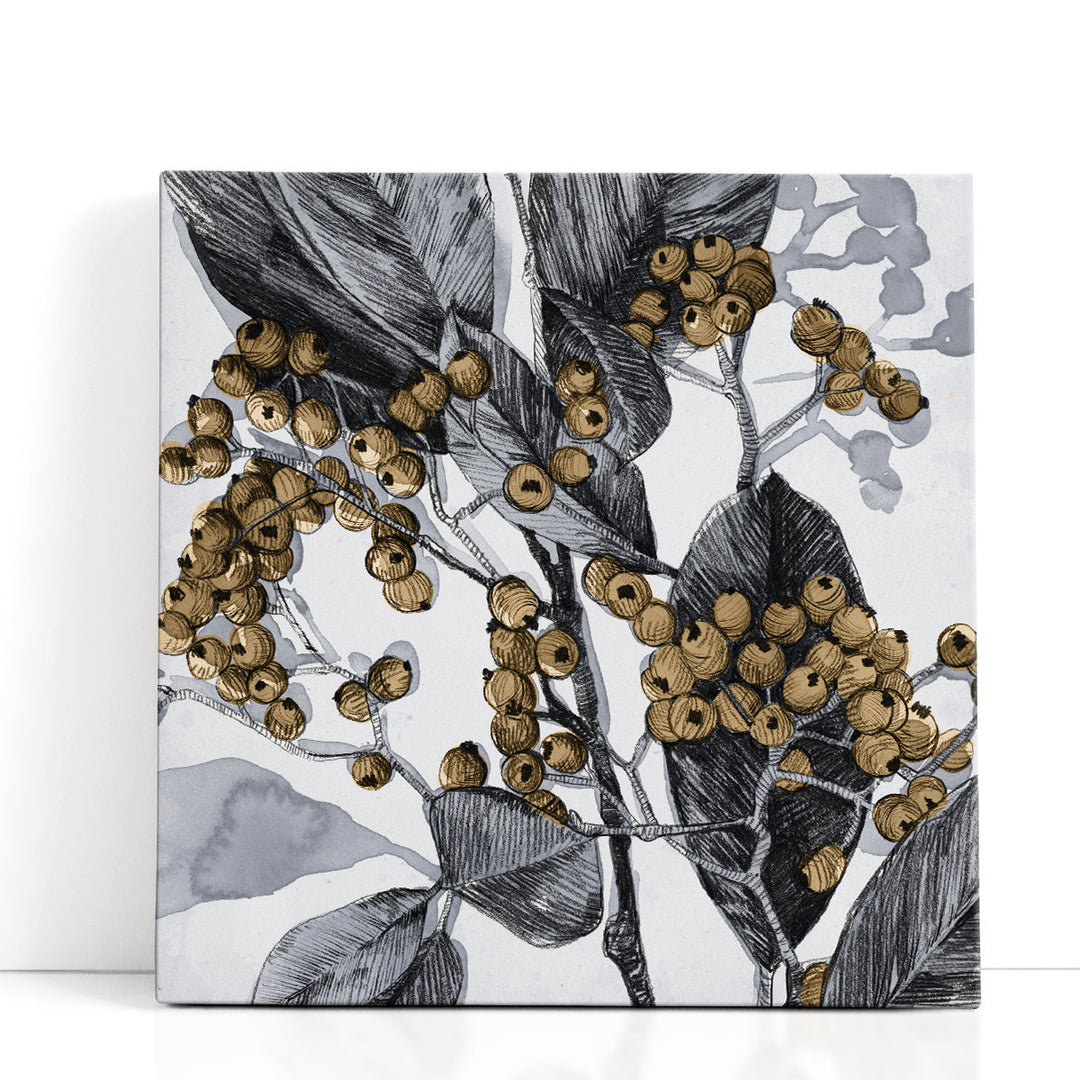 Holly Shadow II - Canvas Print Wall Art