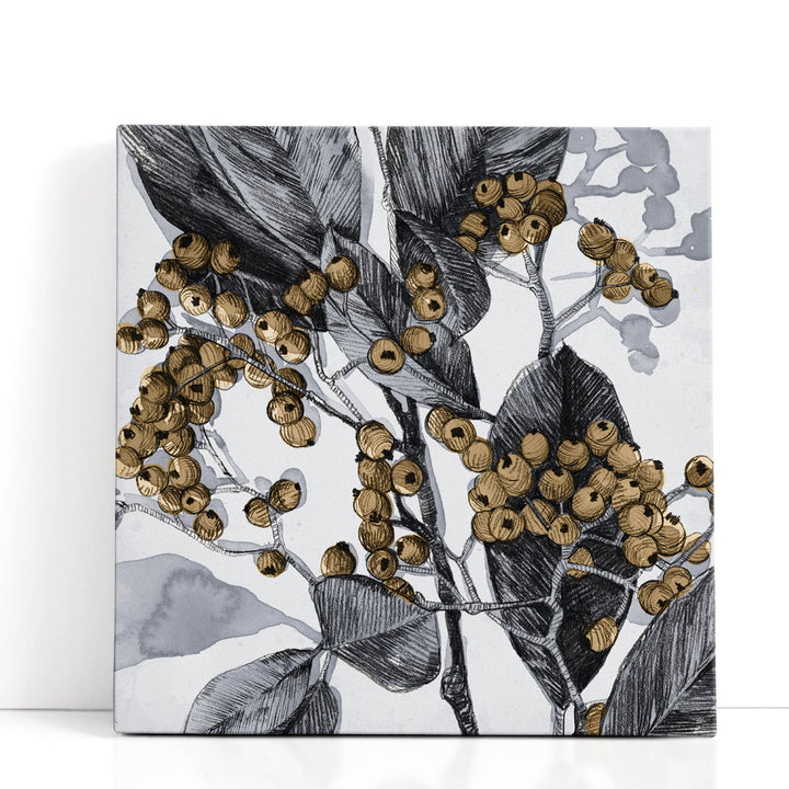 Holly Shadow II - Canvas Print Wall Art