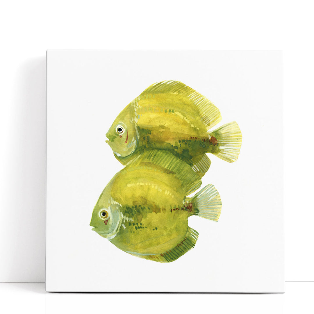 Discus Fish II - Canvas Print Wall Art