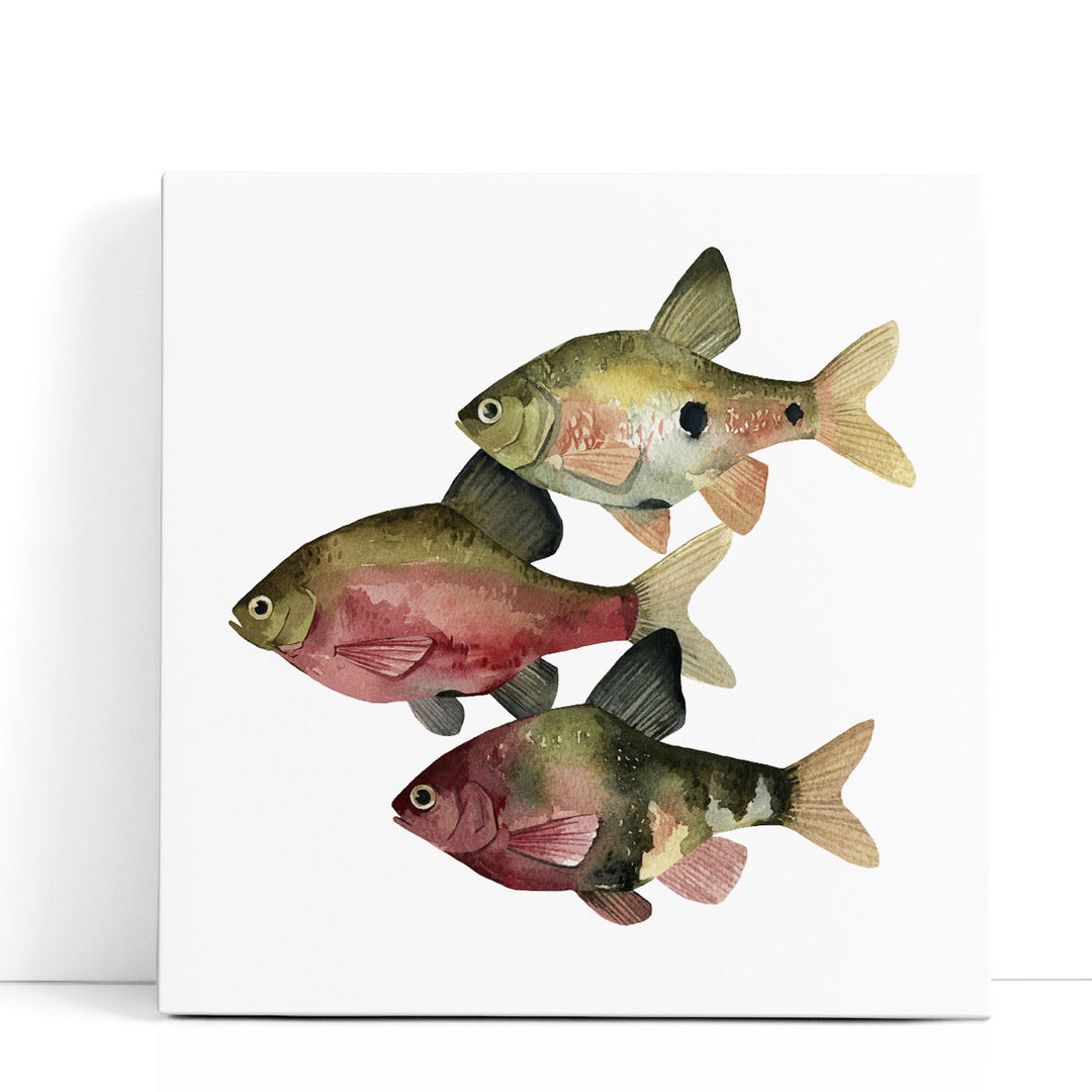 Rainbow Fish I - Canvas Print Wall Art