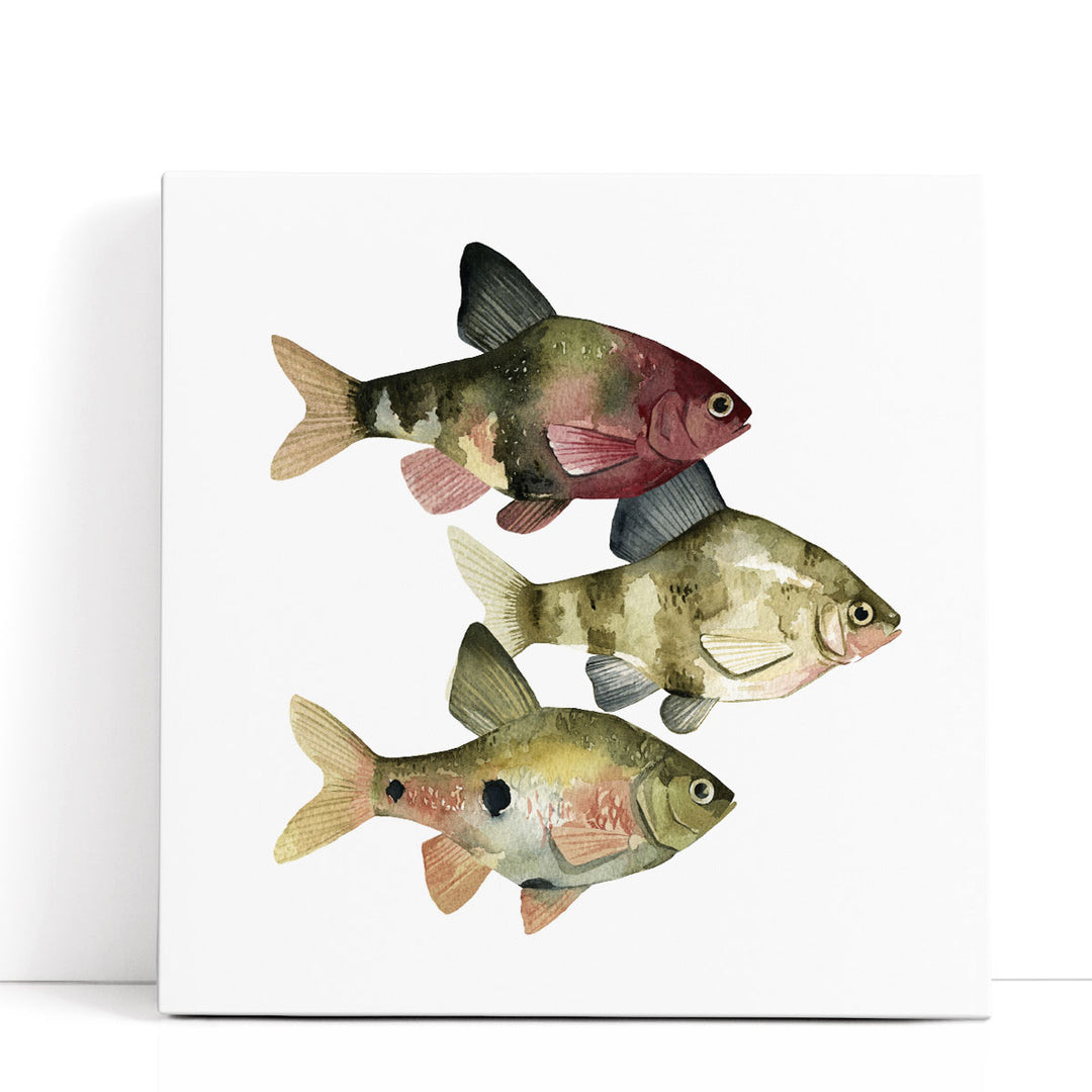 Rainbow Fish II - Canvas Print Wall Art