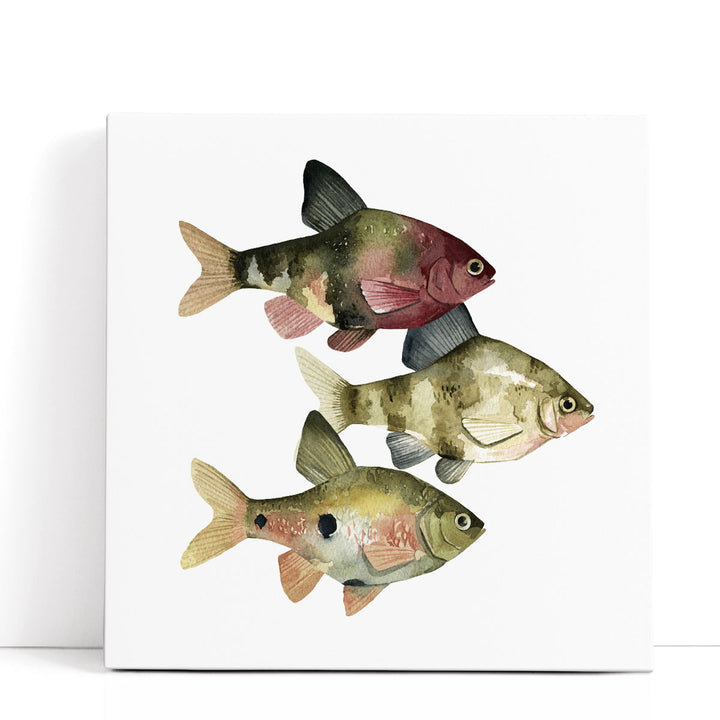 Rainbow Fish II - Canvas Print Wall Art