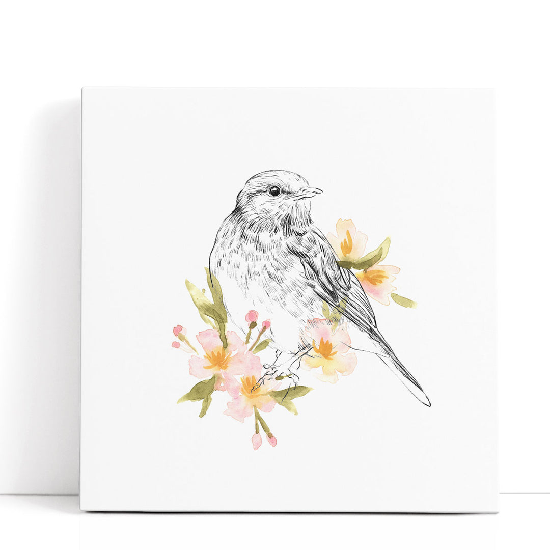 Robin Sketch I - Canvas Print Wall Art