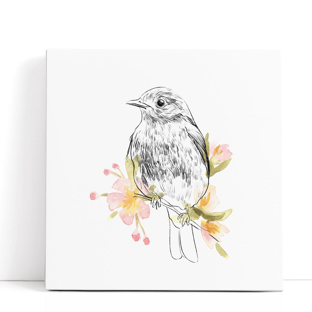 Robin Sketch II - Canvas Print Wall Art