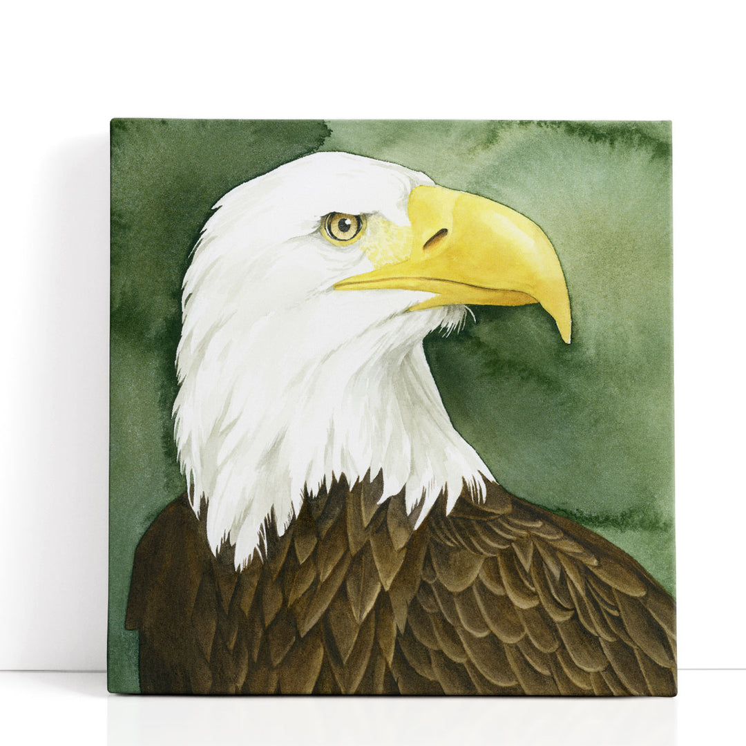 Bald Eagle Stare I - Canvas Print Wall Art