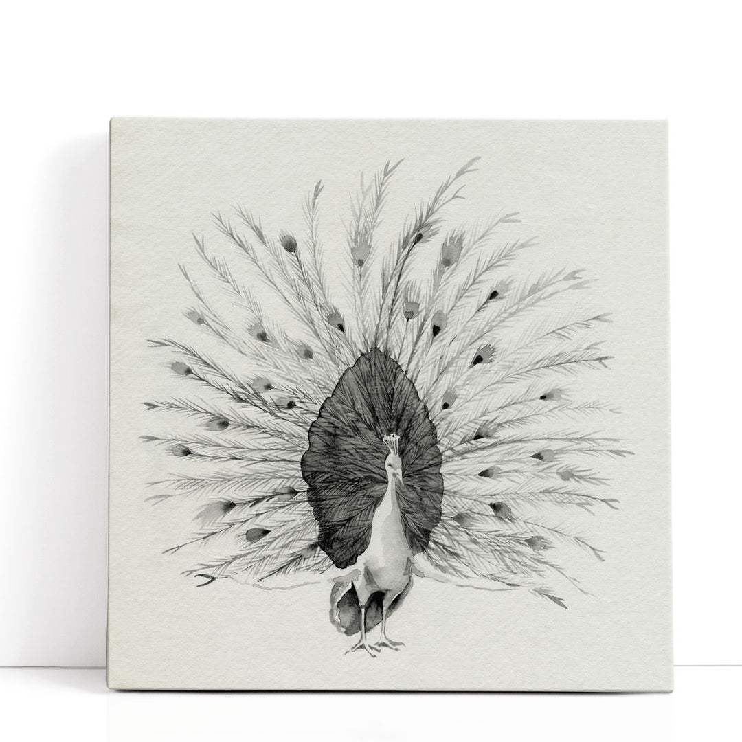Ebony Plumed Peacock I - Canvas Print Wall Art