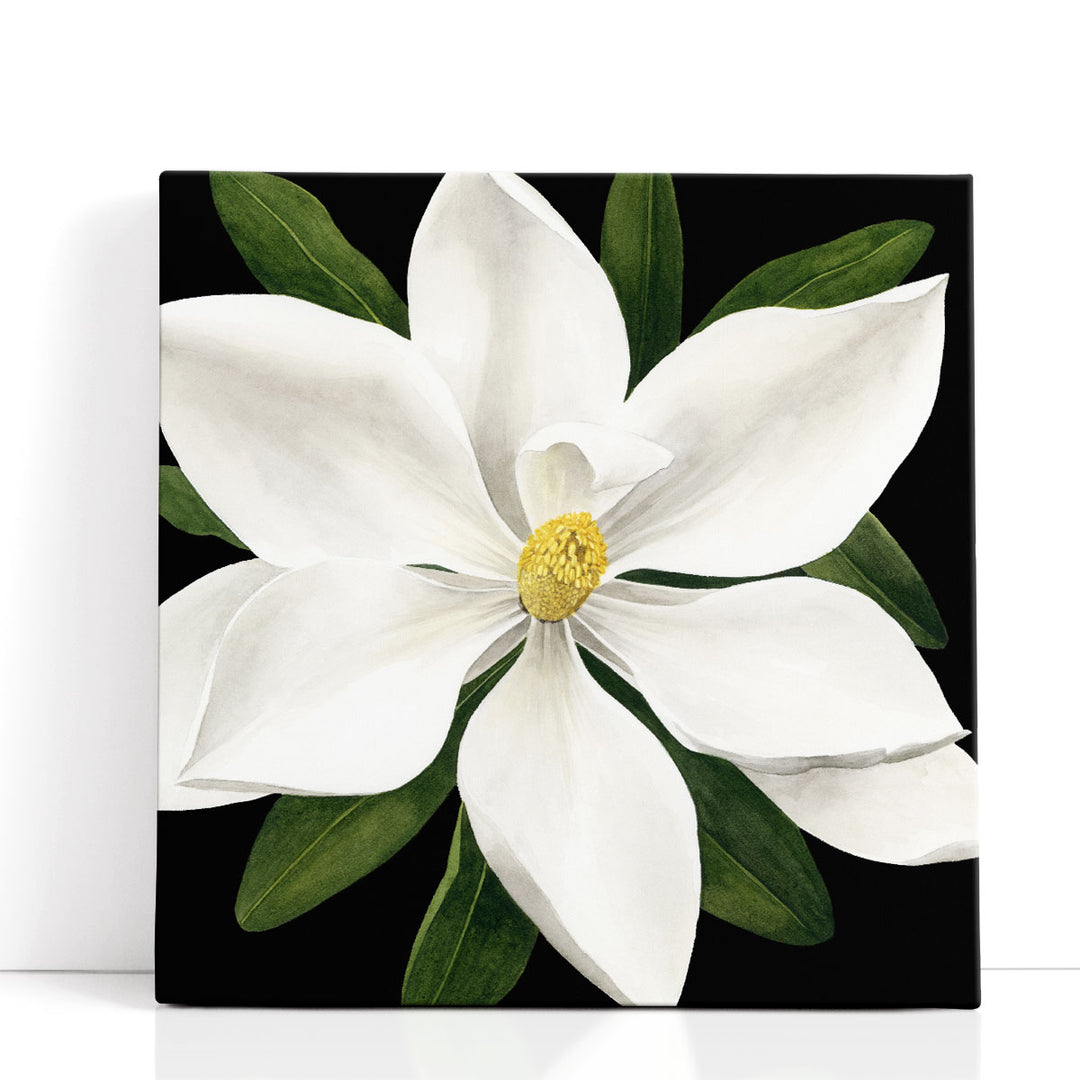 Midnight Magnolia I - Canvas Print Wall Art