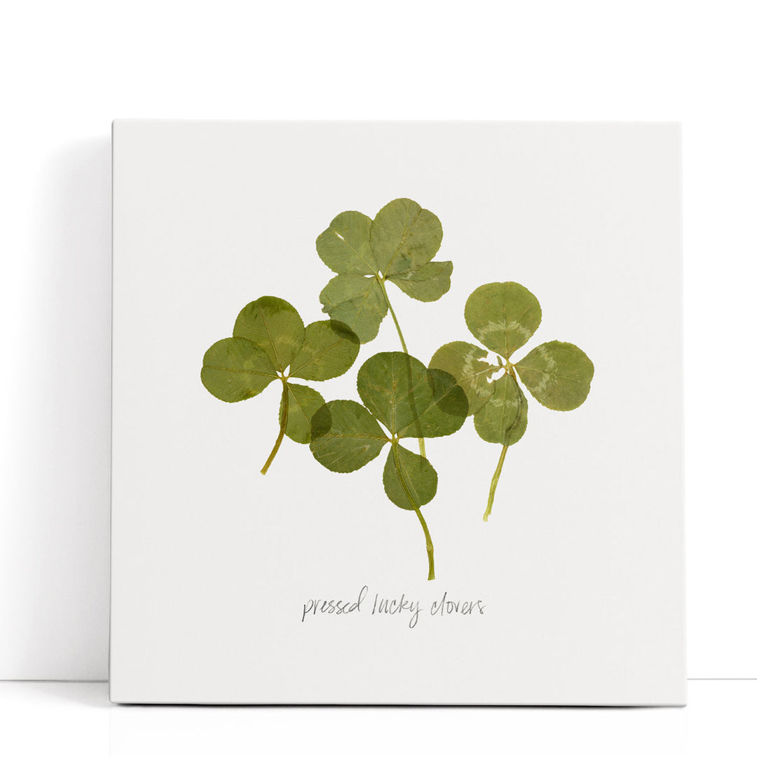 Pressed Clover I - Canvas Print Wall Art