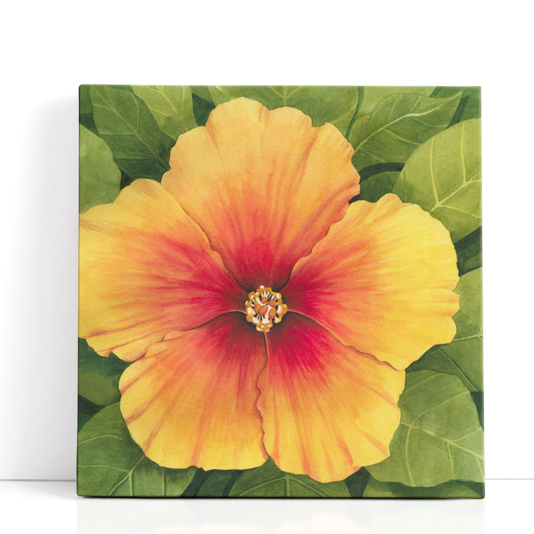 Wild Hibiscus I - Canvas Print Wall Art