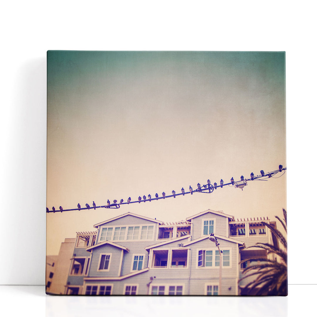 Birds On Wires I - Canvas Print Wall Art