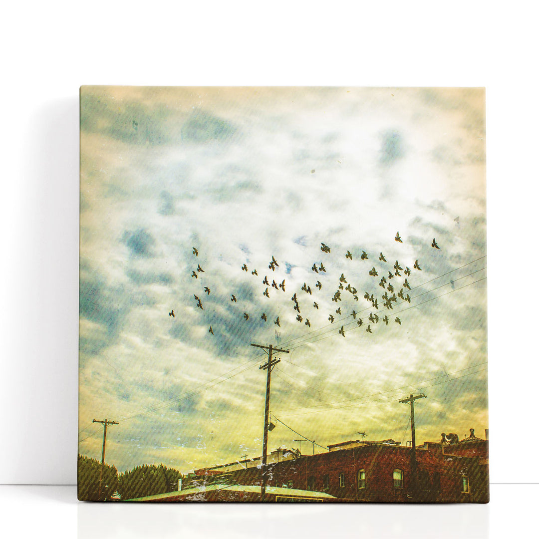 Birds On Wires V - Canvas Print Wall Art