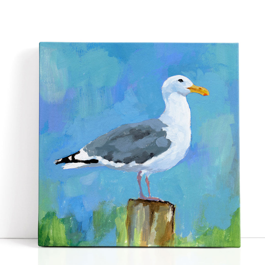 Salty Gull I - Canvas Print Wall Art
