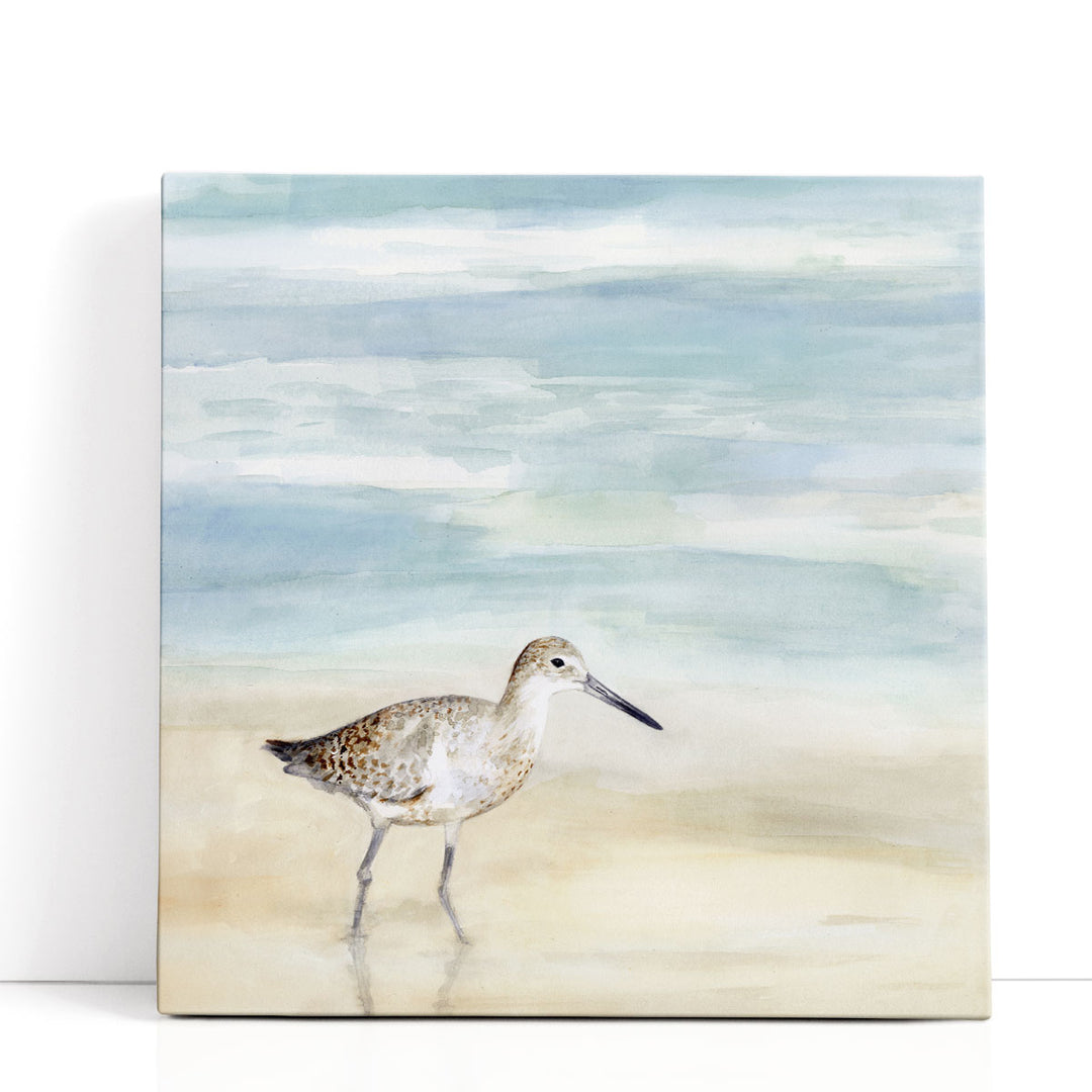 Speckled Willet I - Canvas Print Wall Art