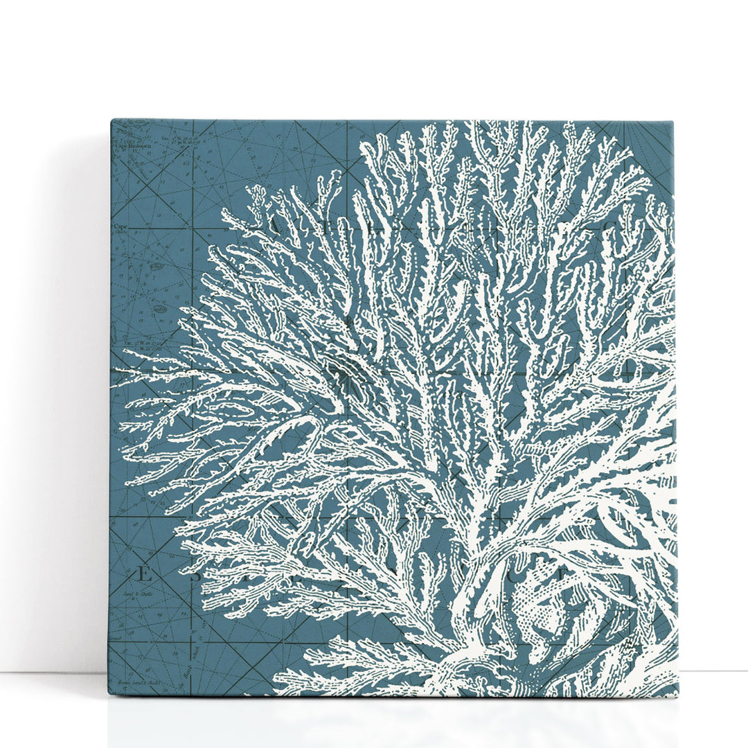 Coastal Menagerie I - Canvas Print Wall Art