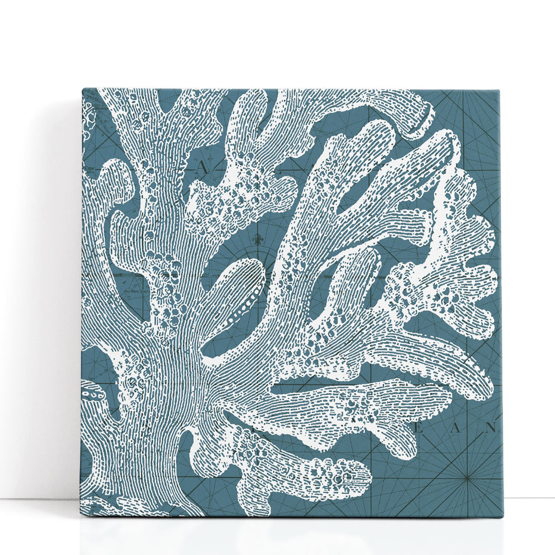 Coastal Menagerie II - Canvas Print Wall Art