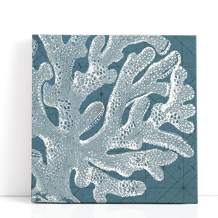 Coastal Menagerie II - Canvas Print Wall Art