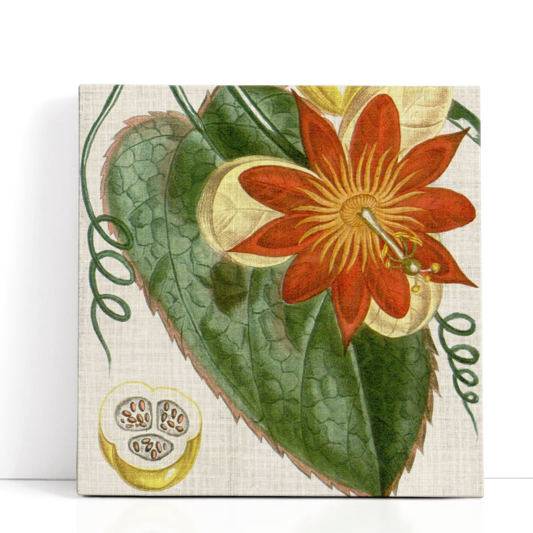 Cropped Turpin Tropicals I - Canvas Print Wall Art