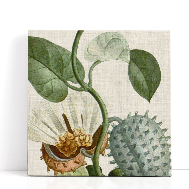 Cropped Turpin Tropicals II - Canvas Print Wall Art