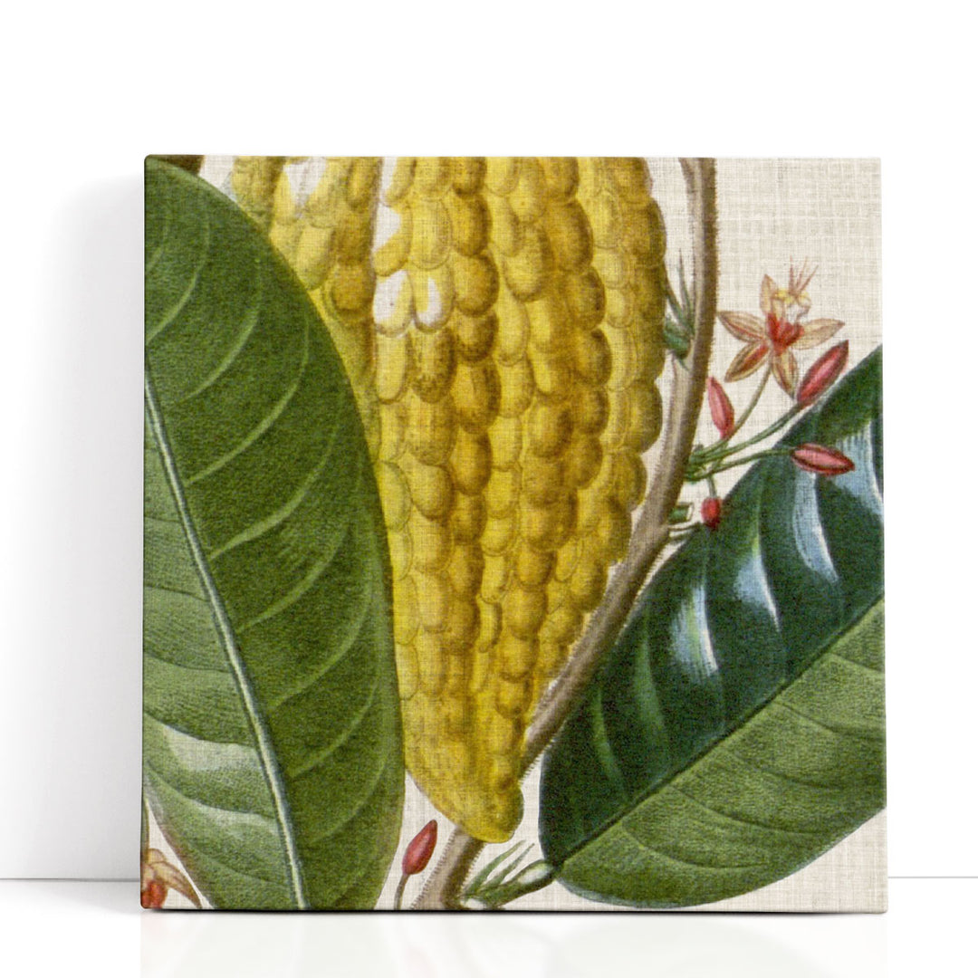 Cropped Turpin Tropicals VI - Canvas Print Wall Art