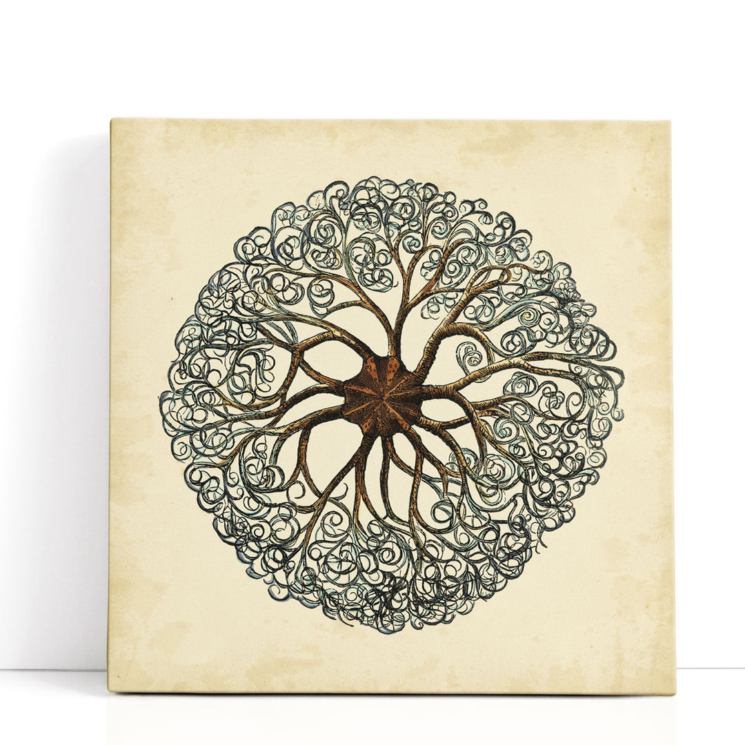 Gems of the Sea II - Canvas Print Wall Art