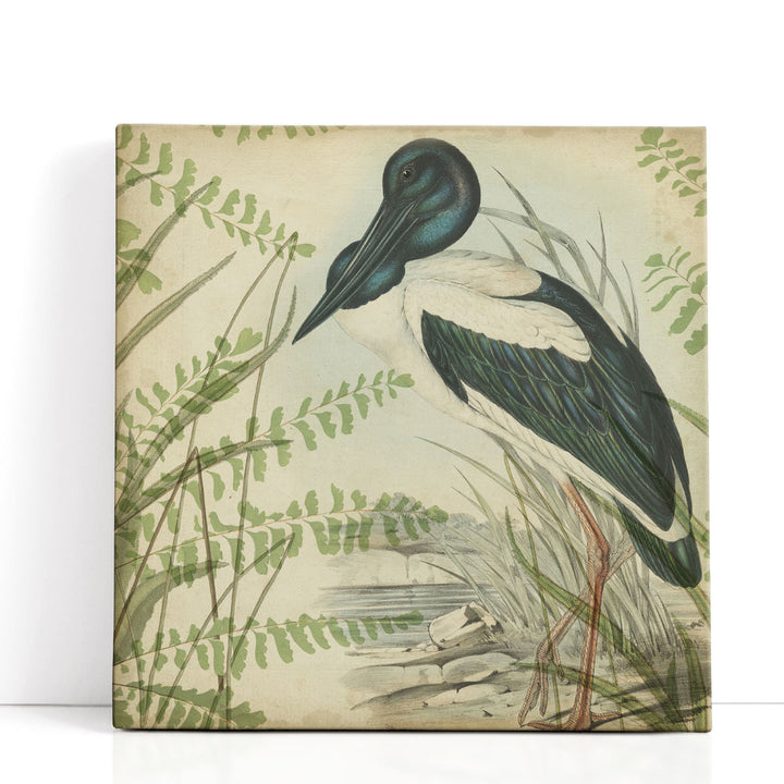 Heron & Ferns I - Canvas Print Wall Art