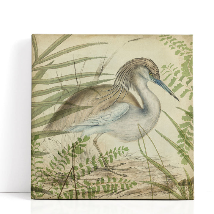 Heron & Ferns II - Canvas Print Wall Art