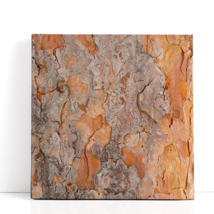 Natures Textures VII - Canvas Print Wall Art