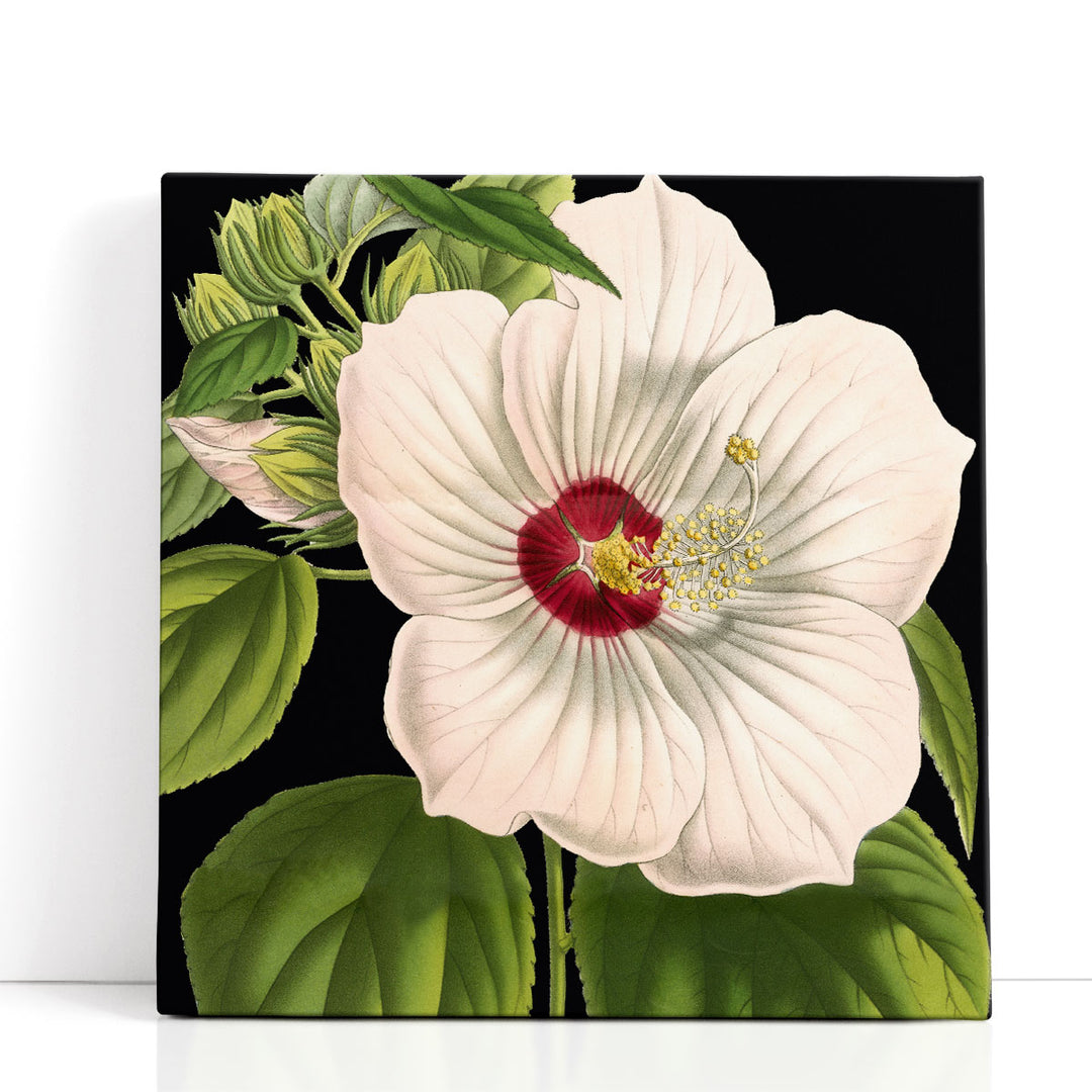 Dramatic Tropical Vision I - Canvas Print Wall Art