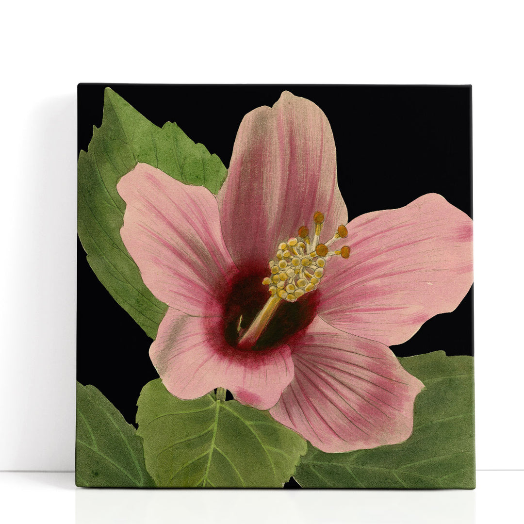 Dramatic Tropical Vision II - Canvas Print Wall Art