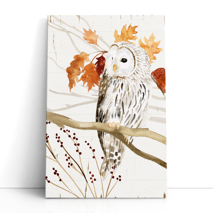 Harvest Owl II - Canvas Print Wall Art