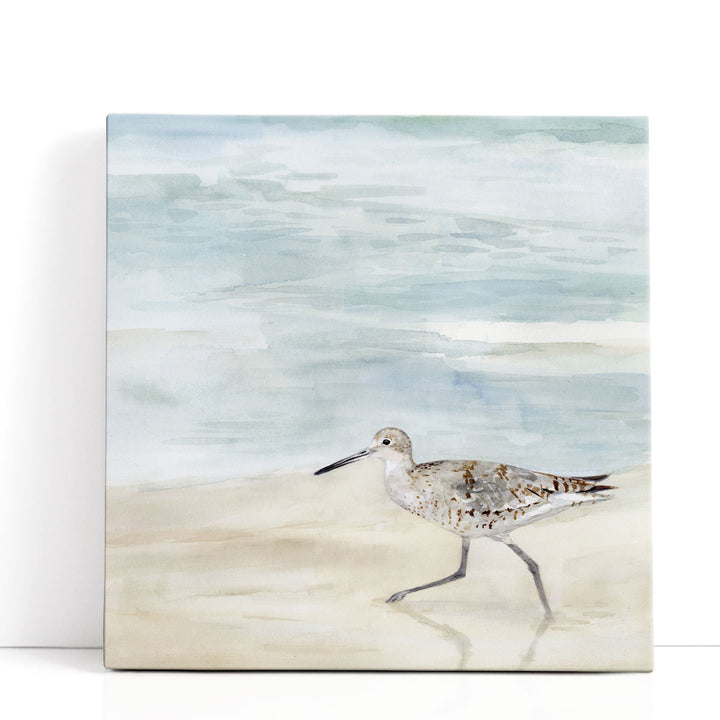 Speckled Willet II - Canvas Print Wall Art