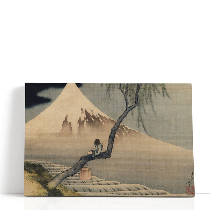 Boy on Mt Fuji - Canvas Print Wall Art