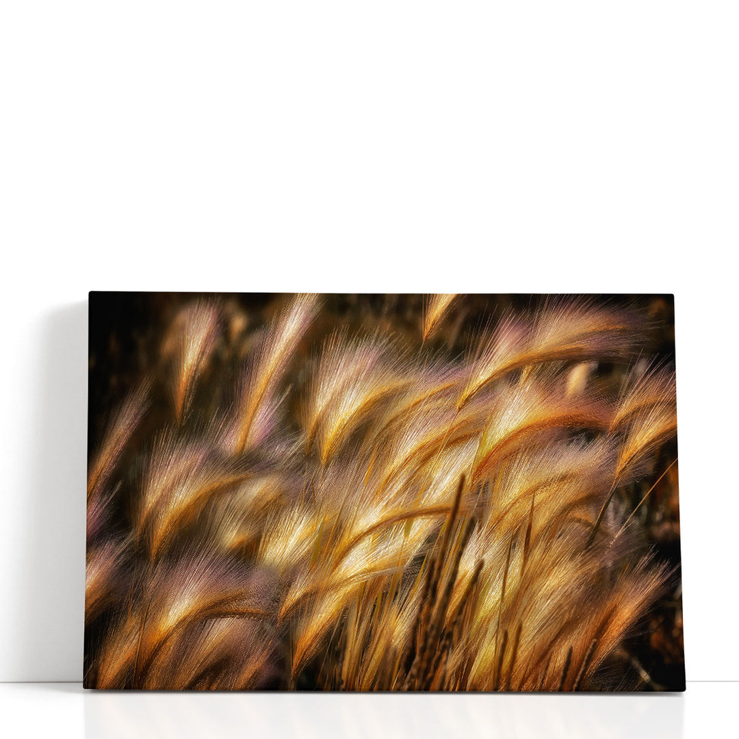 Abstract framed plant wall art grass silhouette