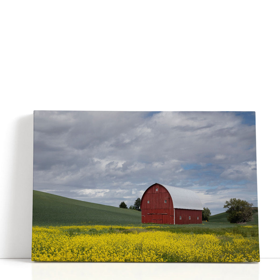 Palouse barn wall décor with lush grasslands