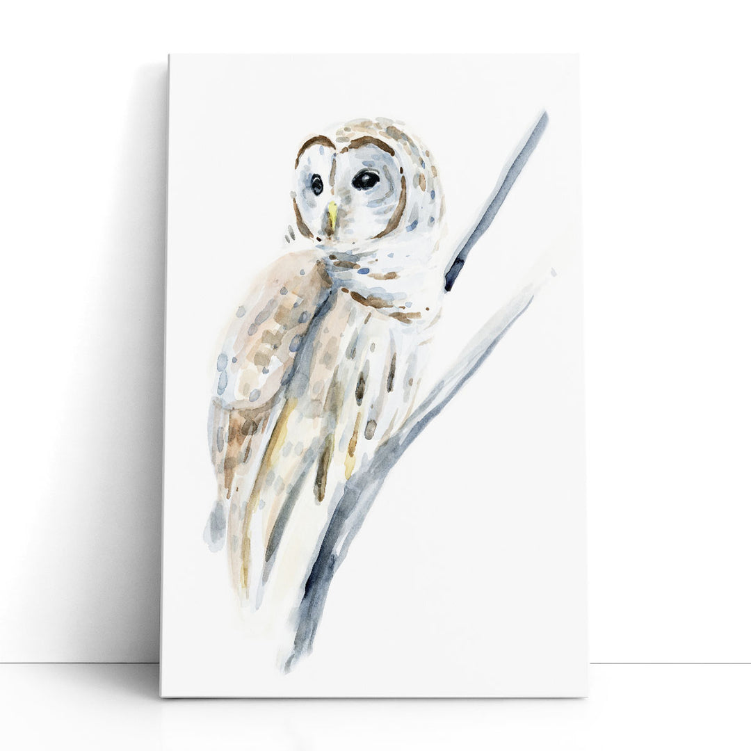 Arctic Owl I - Canvas Print Wall Art