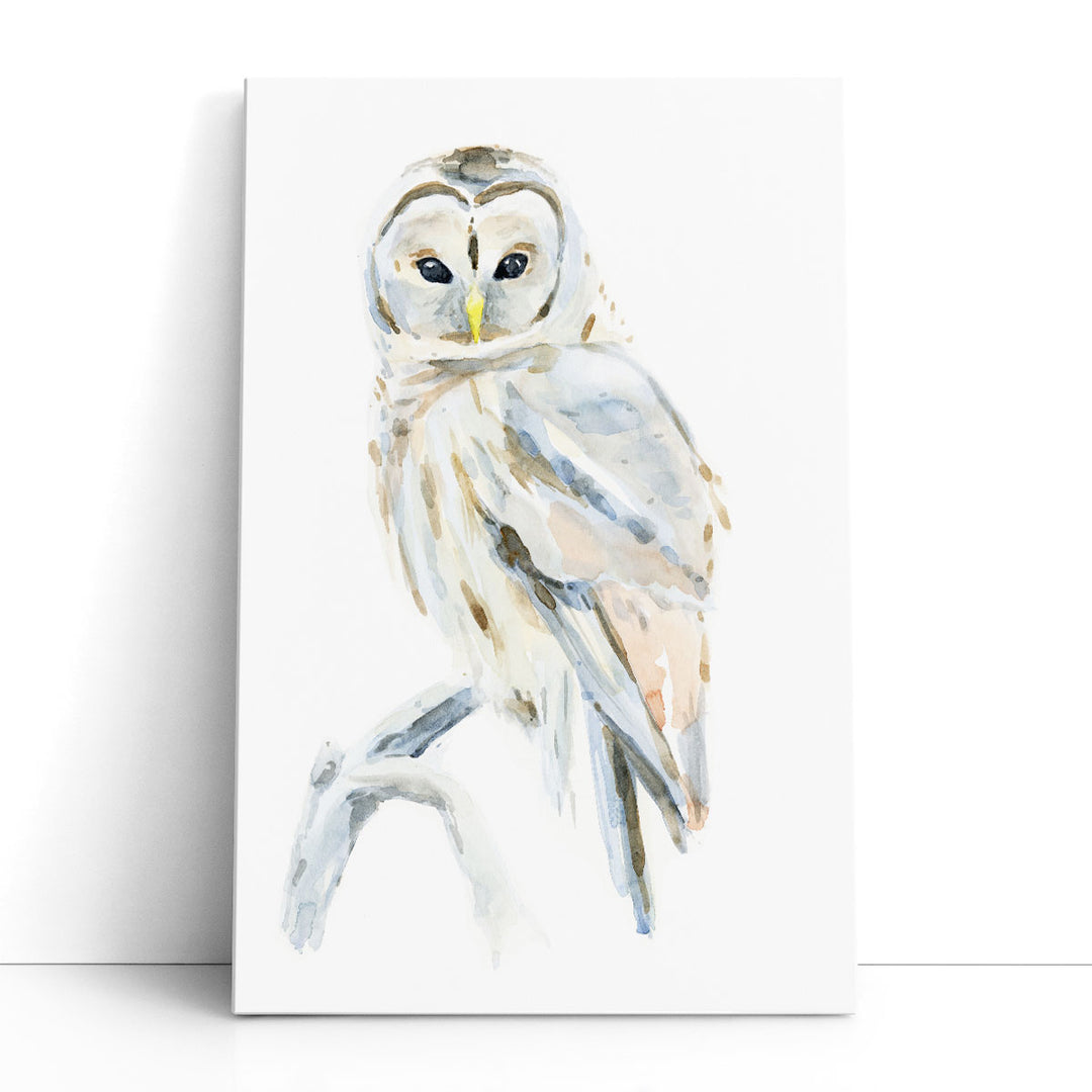 Arctic Owl II - Canvas Print Wall Art