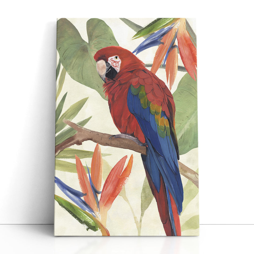Tropical Parrot Composition II - Canvas Print Wall Art