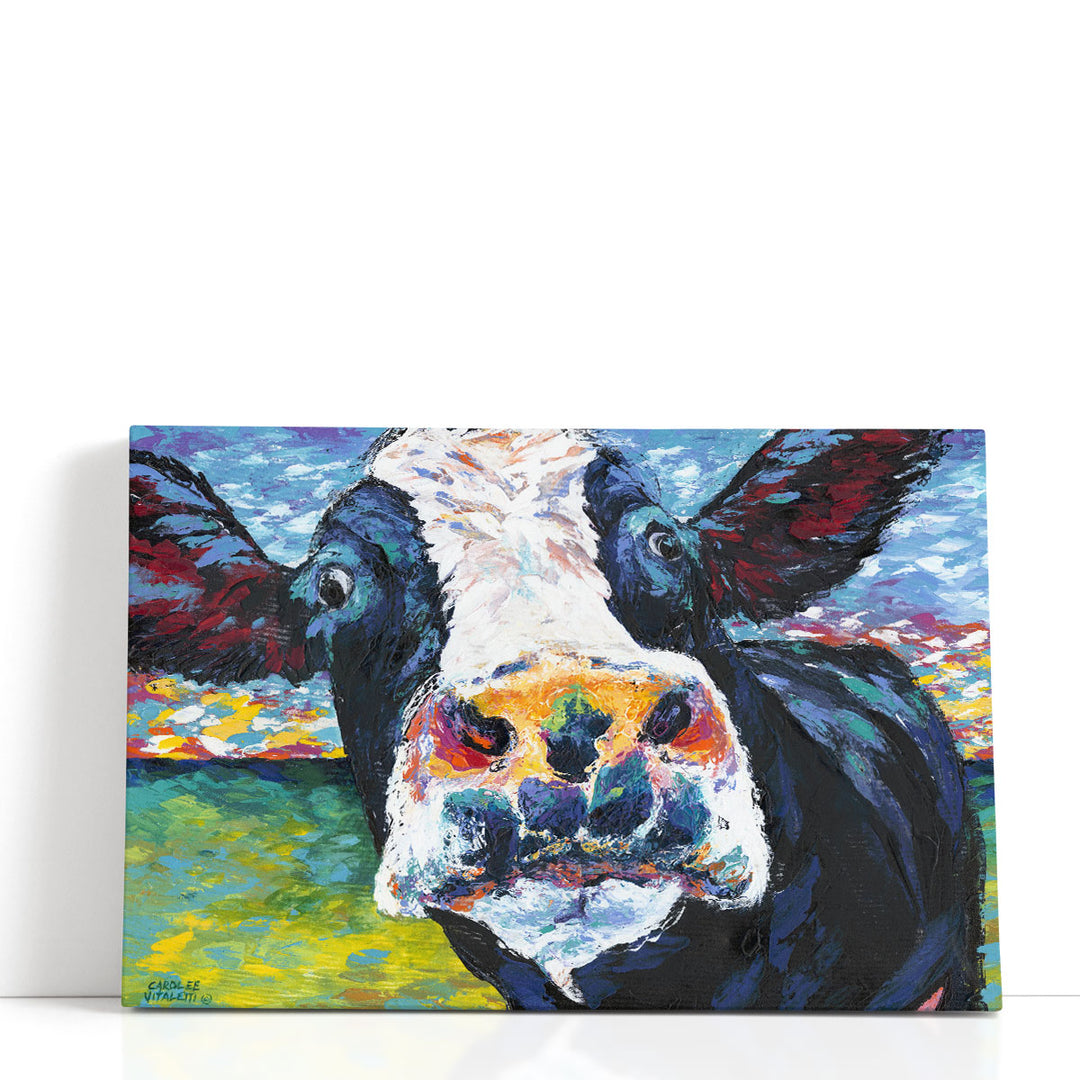 Curious Cow II - Canvas Print Wall Art