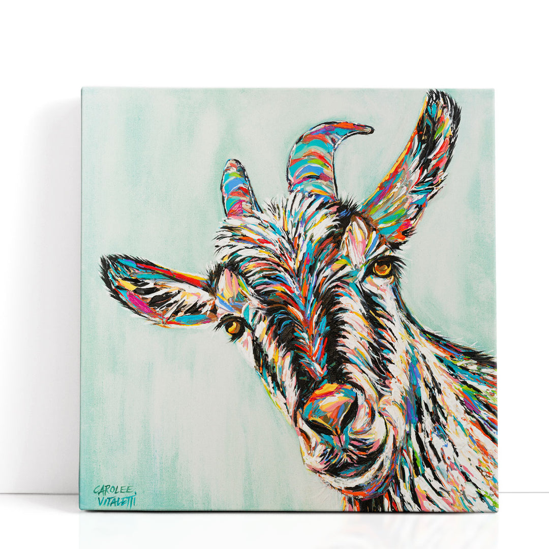 Funny Goat I - Canvas Print Wall Art