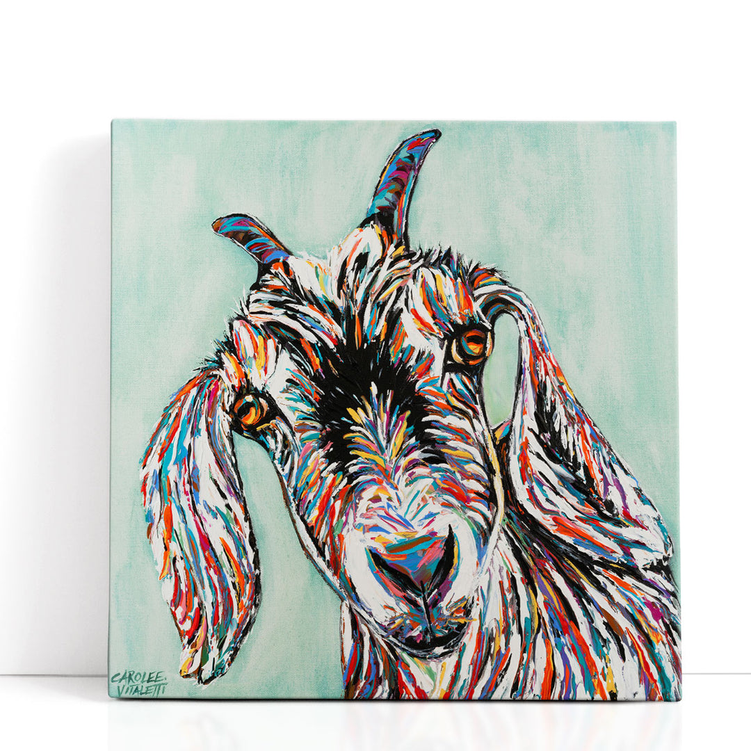 Funny Goat II - Canvas Print Wall Art