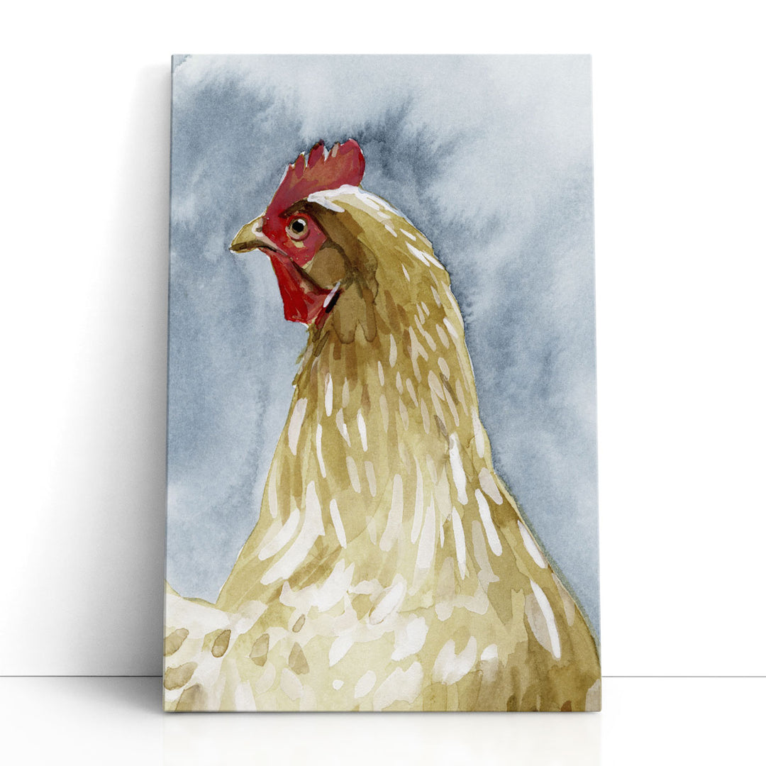 Chicken Portrait I - Canvas Print Wall Art