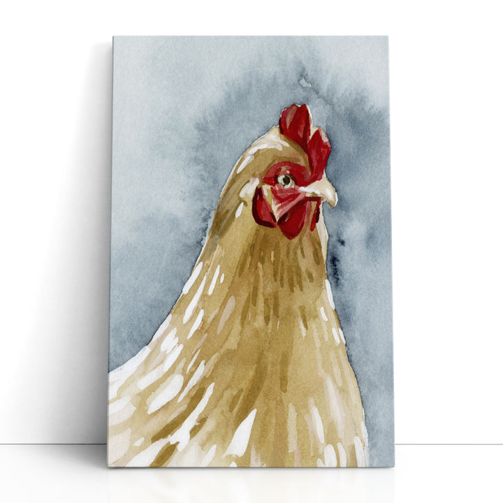 Chicken Portrait II - Canvas Print Wall Art