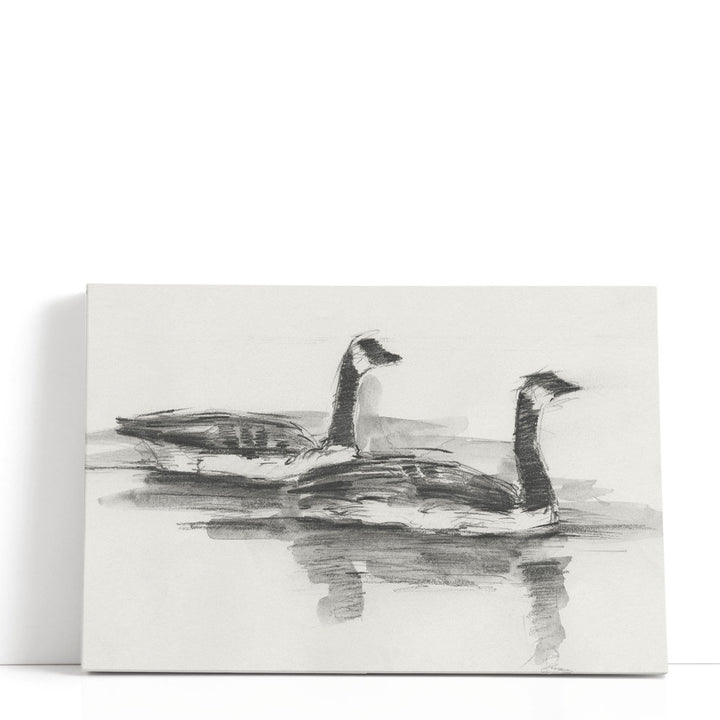 Geese Study I - Canvas Print Wall Art