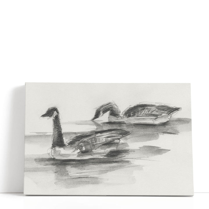 Geese Study II - Canvas Print Wall Art