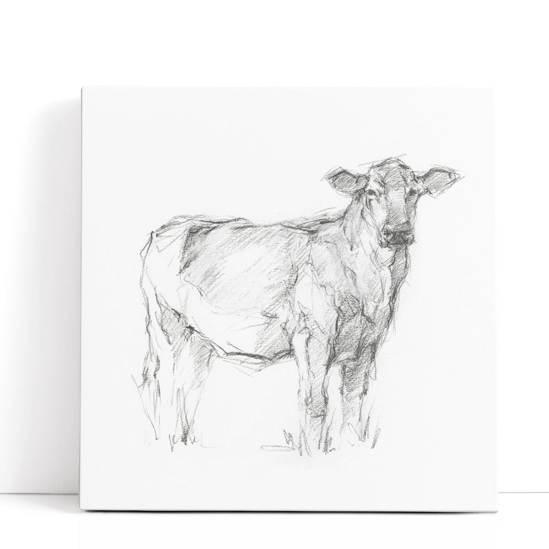 Bovine Study I - Canvas Print Wall Art