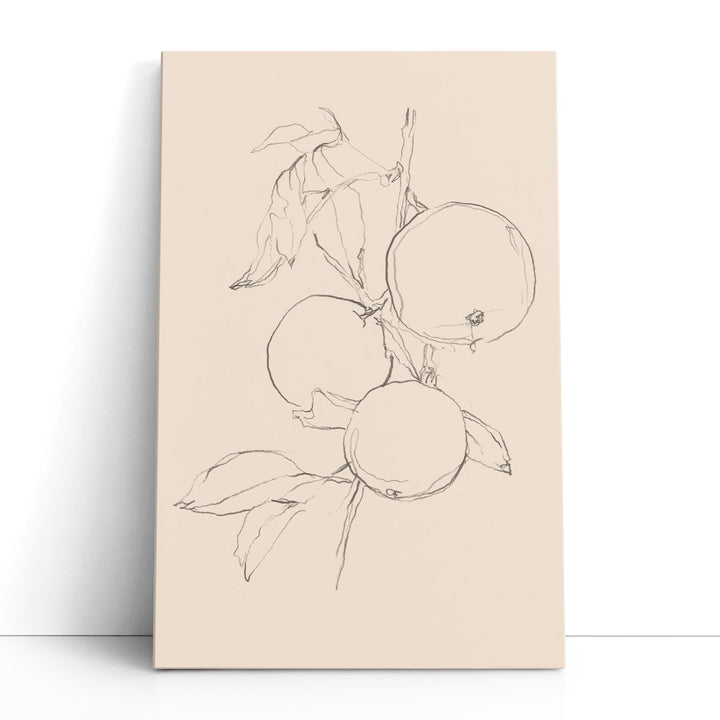 Fruit wall art – simple sketch