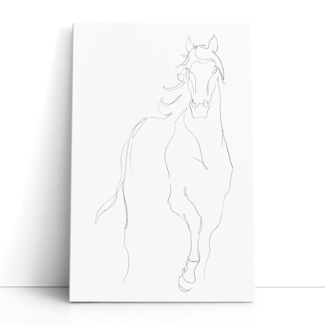 Horse Contour I - Canvas Print Wall Art