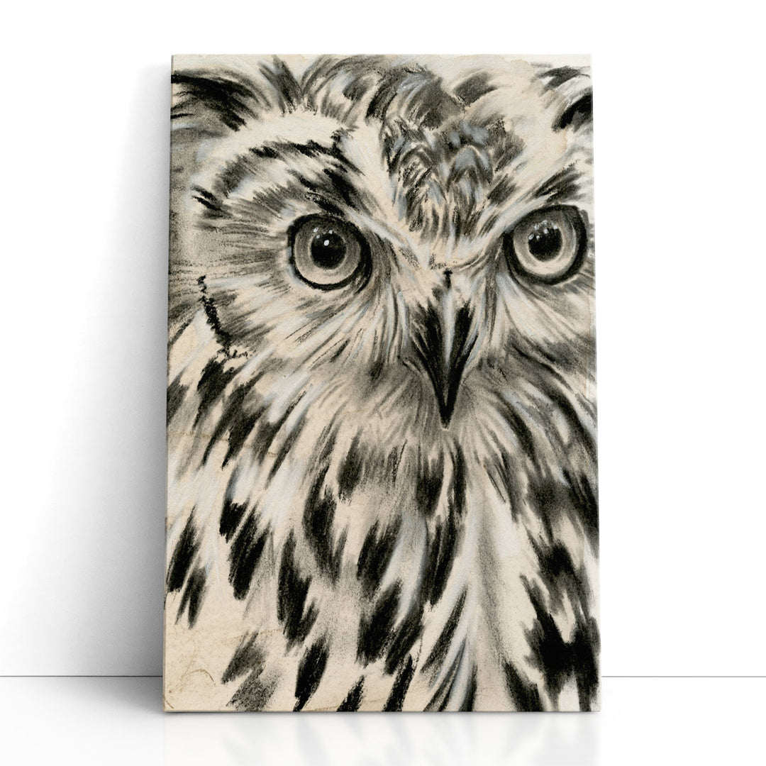Charcoal Owl I - Canvas Print Wall Art