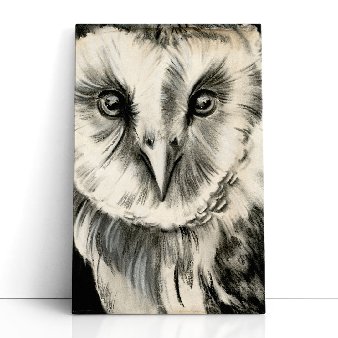 Charcoal Owl II - Canvas Print Wall Art