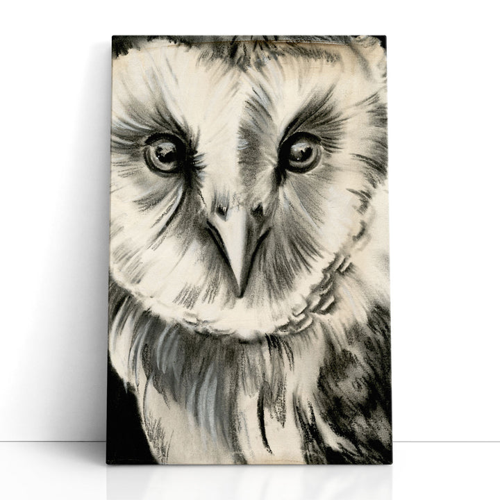 Charcoal Owl II - Canvas Print Wall Art